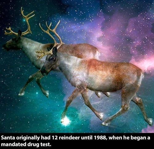 Undisputed Facts of Christmas