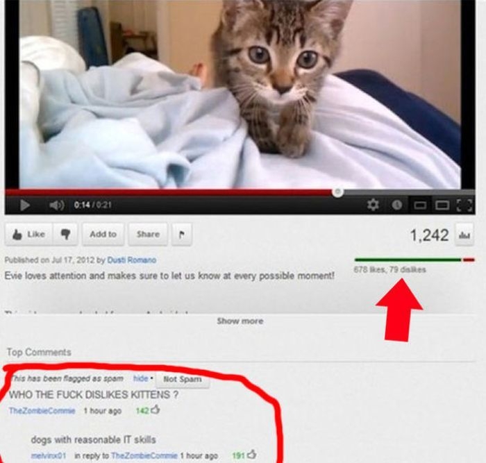 The Funniest YouTube Comments of 2012 