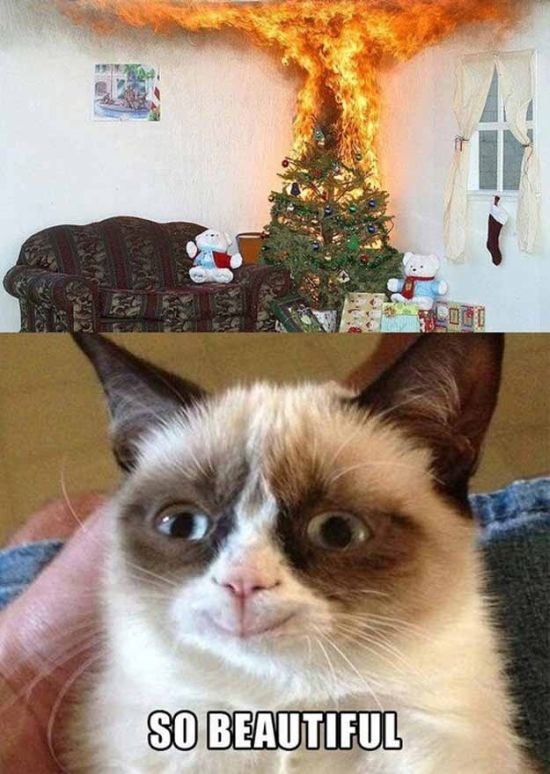 Grumpy Cat Christmas 