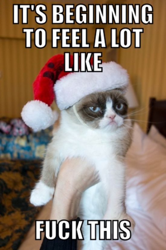 Grumpy Cat Christmas 