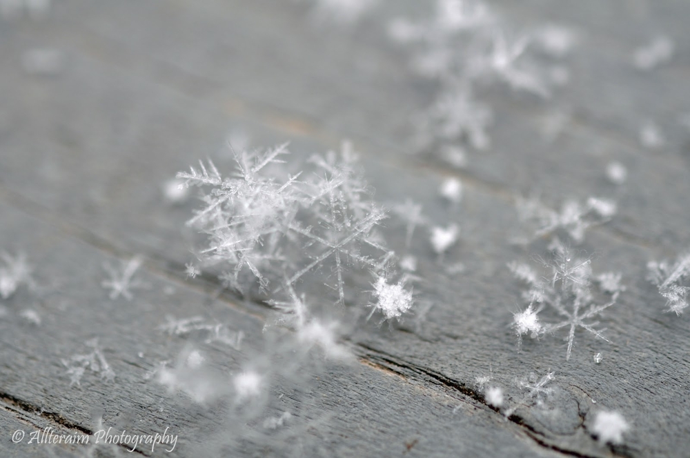 Speakin' of the Weather: The Anatomy of a Snowflake