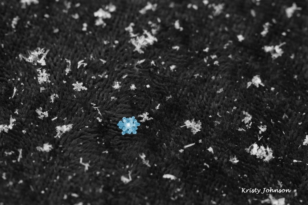 Speakin' of the Weather: The Anatomy of a Snowflake