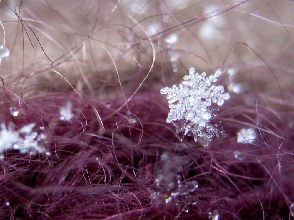 Speakin' of the Weather: The Anatomy of a Snowflake