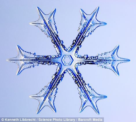 Snowflakes Under the Microscope 