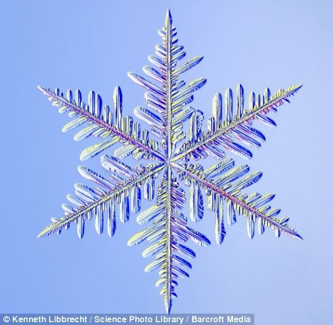 Snowflakes Under the Microscope 