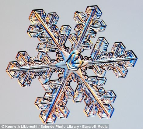 Snowflakes Under the Microscope 