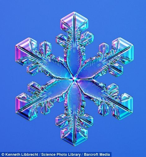 Snowflakes Under the Microscope 