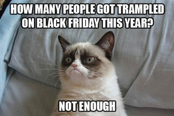 25 Best Moments of the Grumpy Cat 