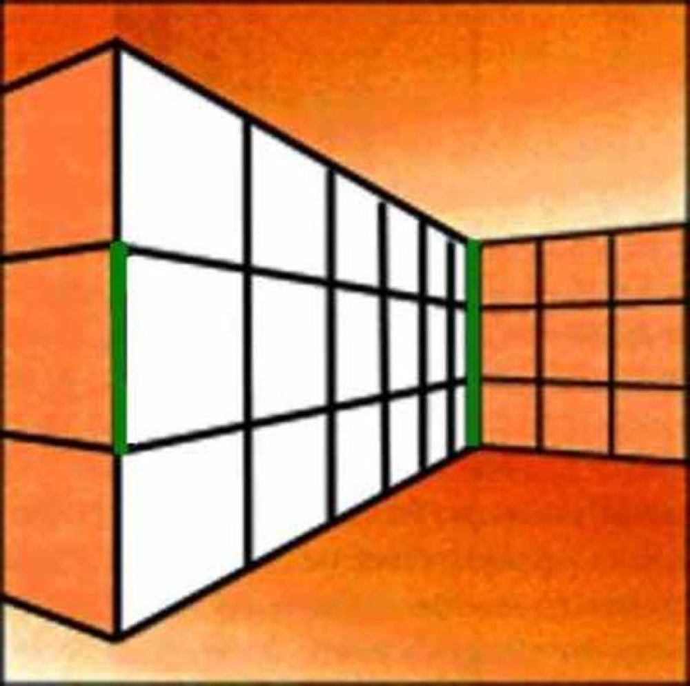 Trippy Optical Illusions for the Brave