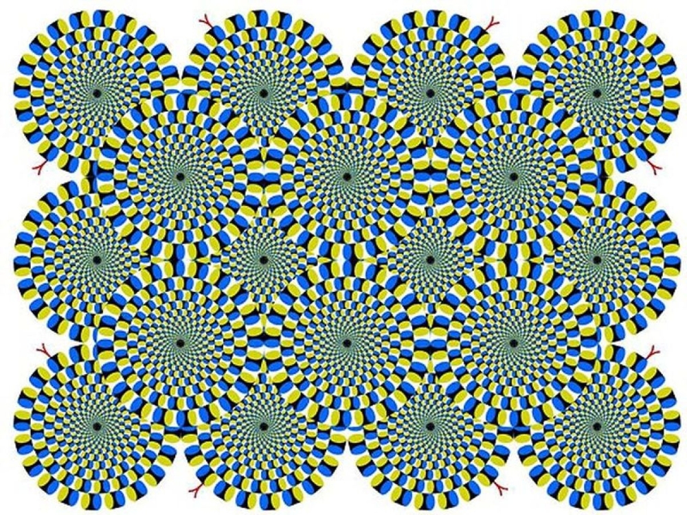 Trippy Optical Illusions for the Brave