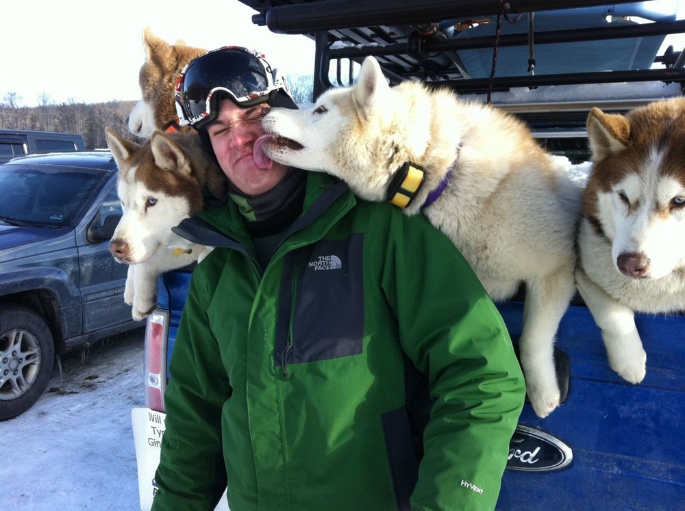 Sled Dogs Melt More Than Just Snow