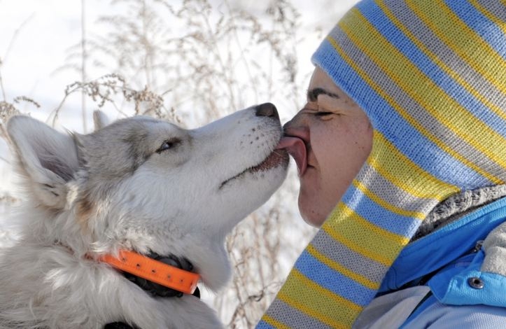 Sled Dogs Melt More Than Just Snow