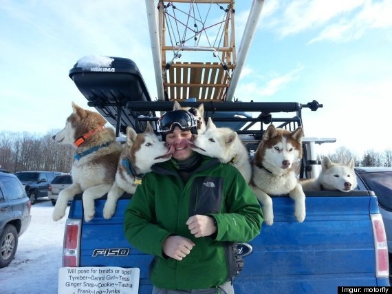 Sled Dogs Melt More Than Just Snow