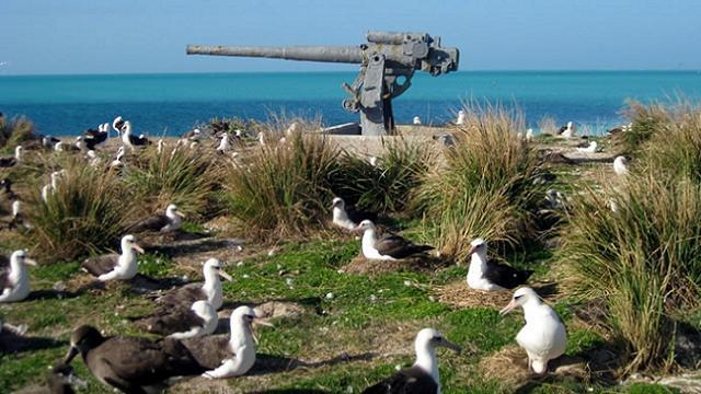 Midway Island 
