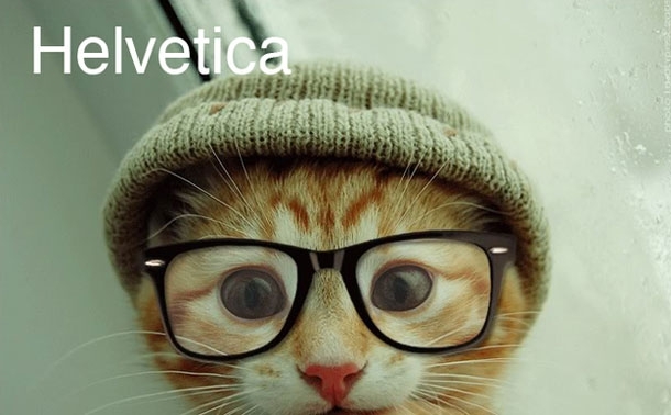 Hipster cats and Their fonts!