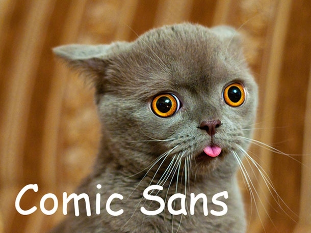 Hipster cats and Their fonts!