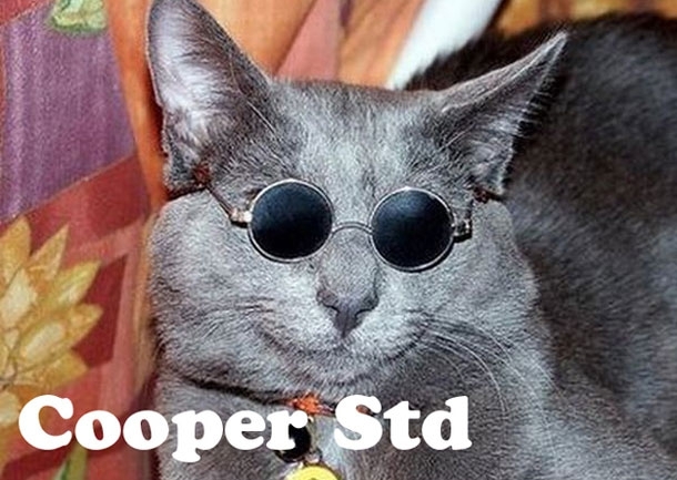 Hipster cats and Their fonts!