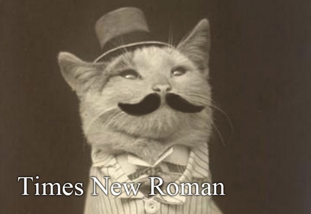 Hipster cats and Their fonts!