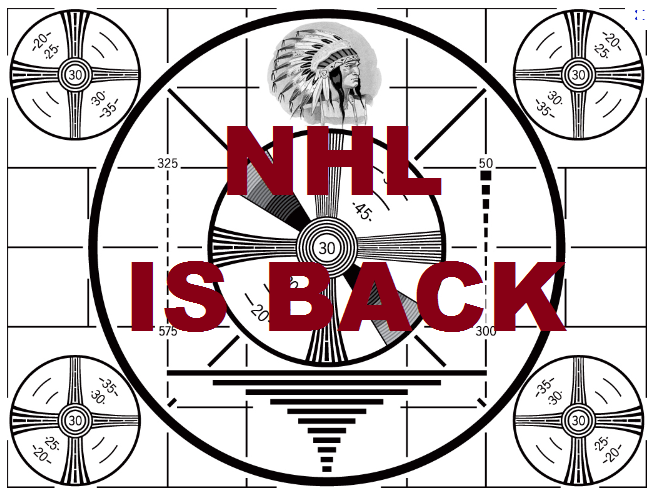 NHL Strike is OVER! We can all Stop watching Pro Poker Now!