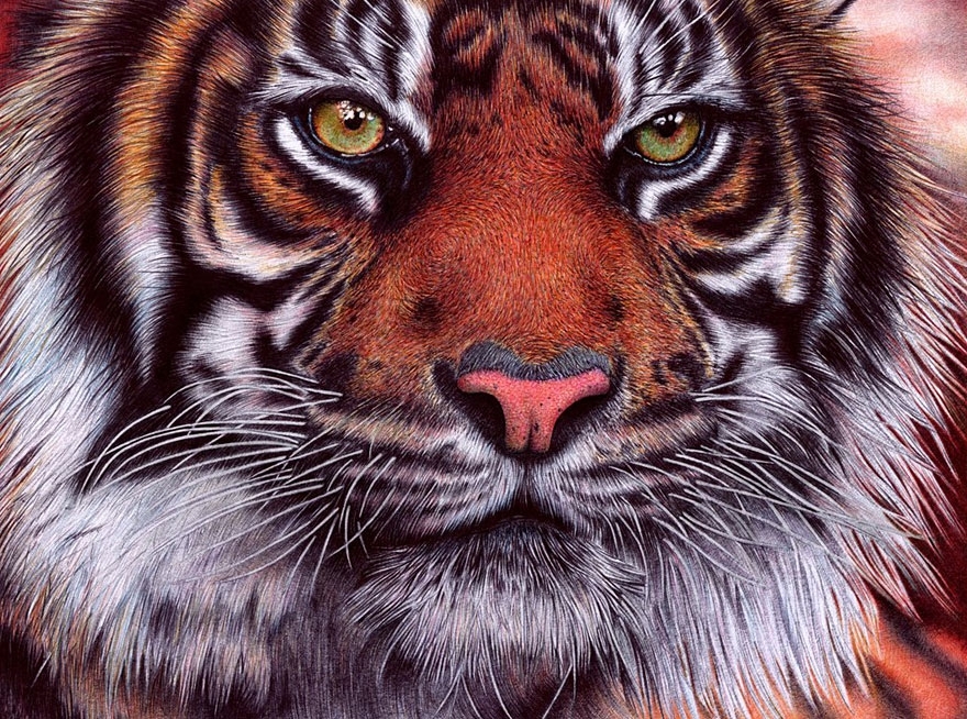 Photorealistic Ballpoint Pen Drawings by 29-Year-Old Lawyer 