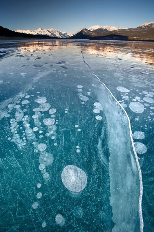 Frozen Air Bubbles in Abraham Lake 