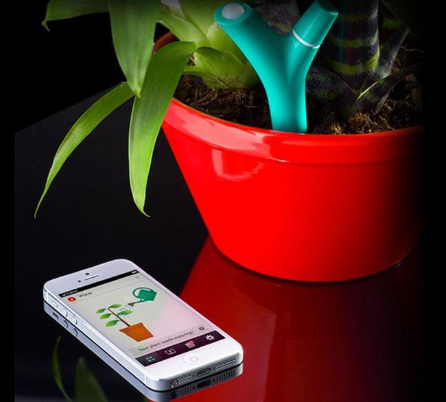 Flower Power Keeps You and Your Plants in Sync!