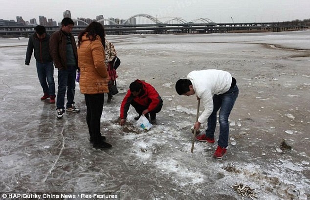 Chinese Fishing 