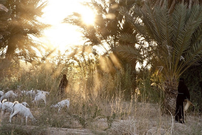 Witches of Hadramawt