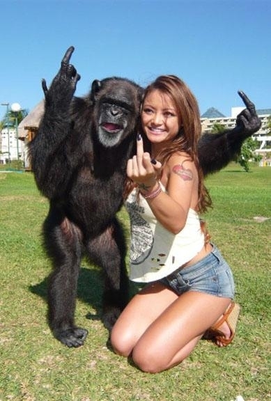 Reasons Why Monkeys Are Jerks