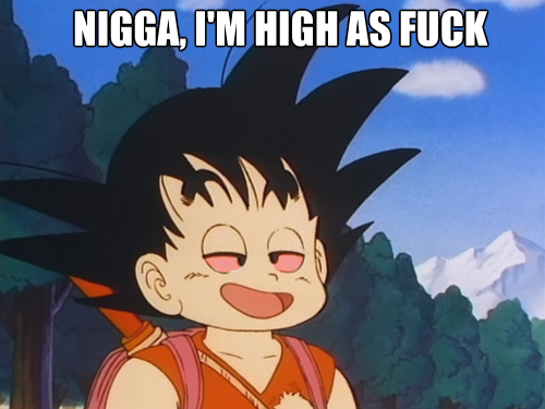 DBZ Memes. That's when you know Your Childhood is Over