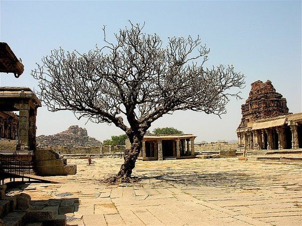 Lost Cities of India