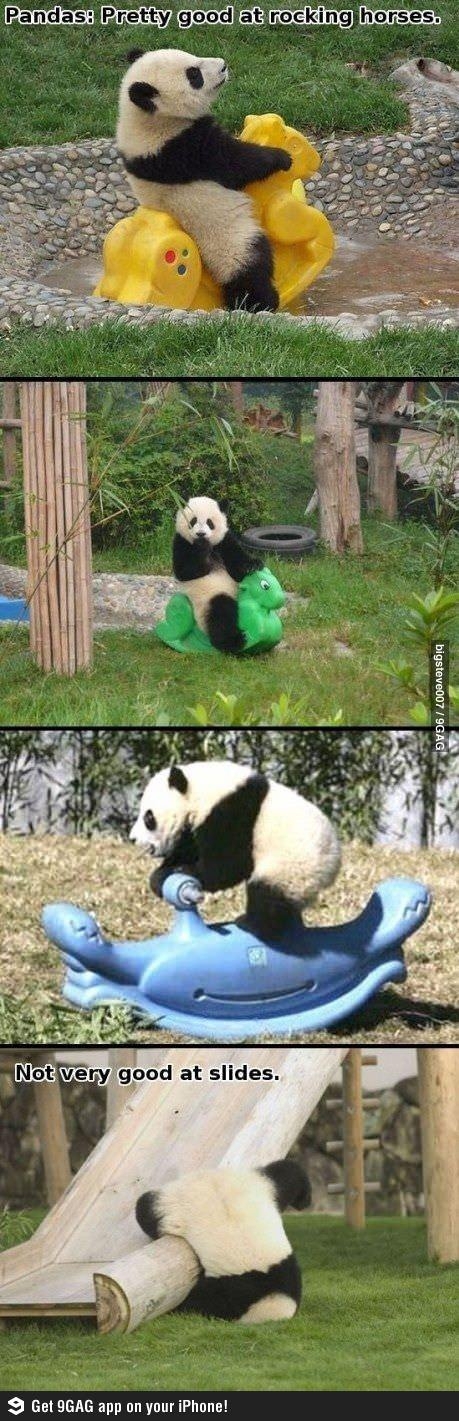 Pandas Rock (Literally)
