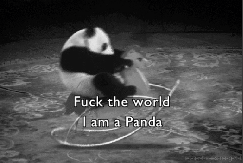 Pandas Rock (Literally)