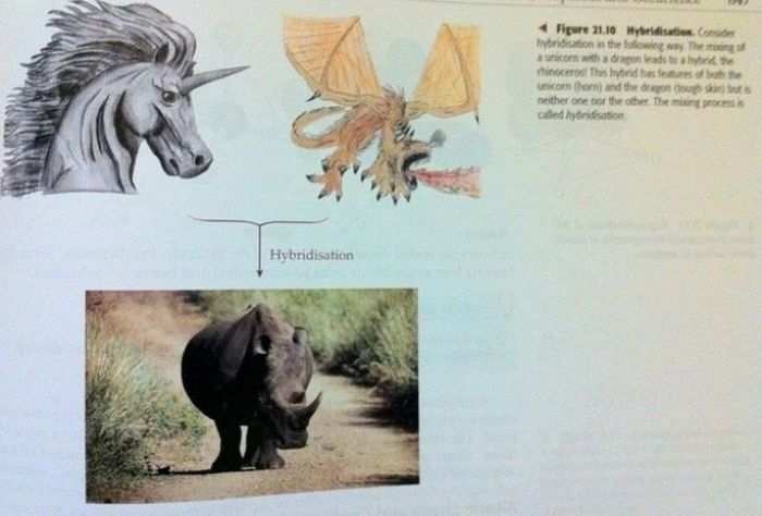 Strange Things In Textbooks 