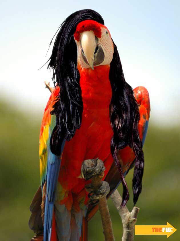 Skrillex Has Competition From the Bird World