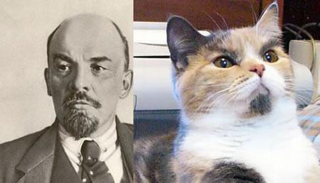 Hitler, Lenin, and Other Bad Kitties