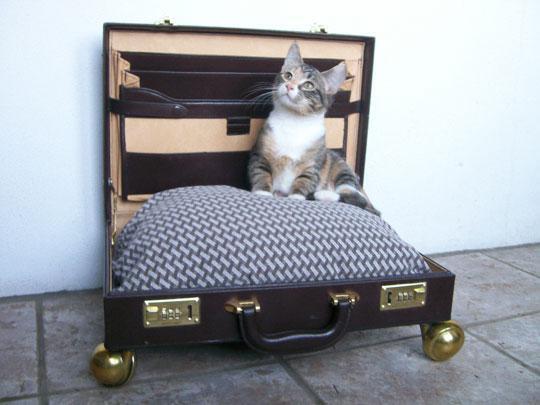 Fancy Cat Beds You Can Make Yourself