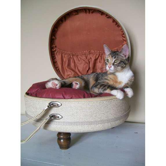 Fancy Cat Beds You Can Make Yourself