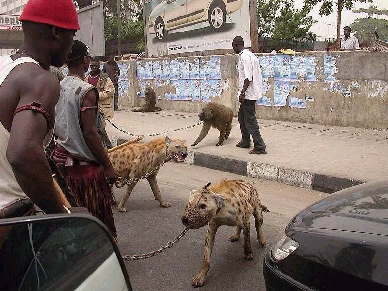 The Hyena Handlers of Nigeria 