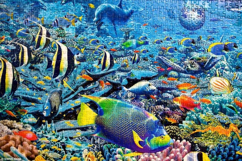 The Largest Puzzle in the World