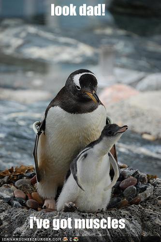 The World of Penguin
