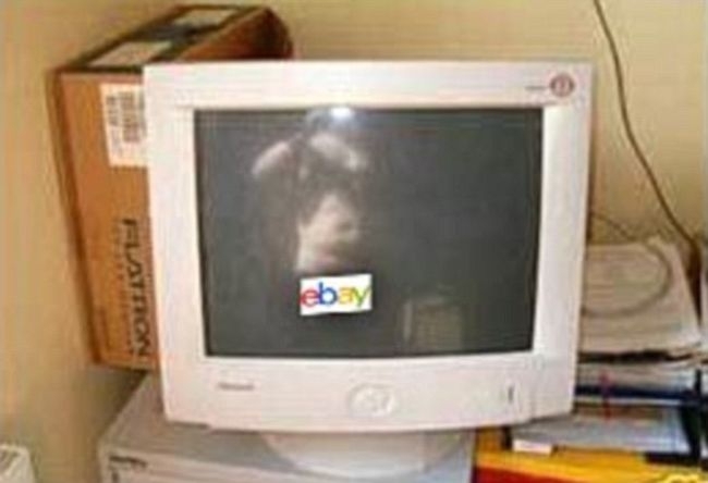 Ebay Sellers Who Showed Too Much 