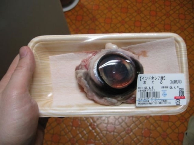 Ultimately Gross And Most Disturbing Foods From Around The World!!!