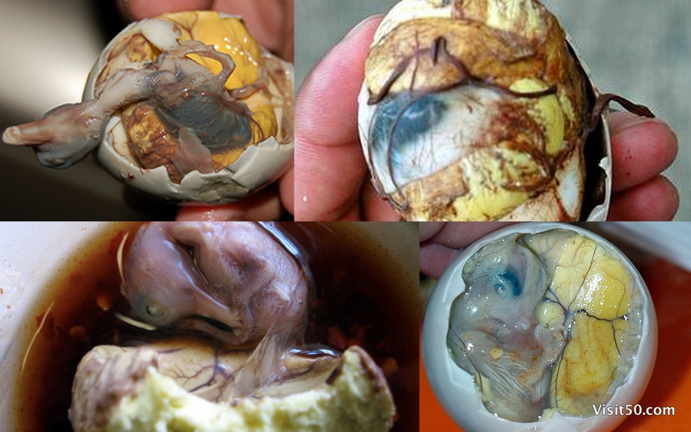 Ultimately Gross And Most Disturbing Foods From Around The World!!!