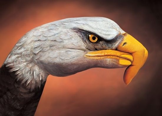 Amazing Hand Painting Art by Guido Daniele 