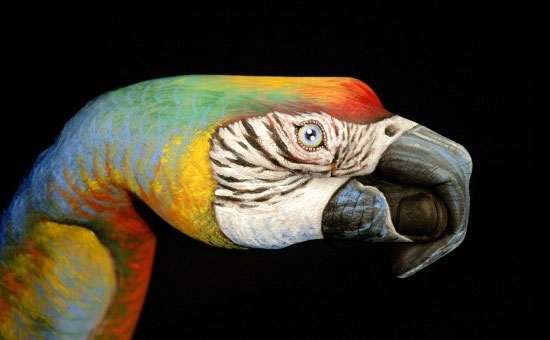 Amazing Hand Painting Art by Guido Daniele 
