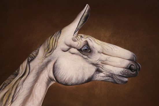 Amazing Hand Painting Art by Guido Daniele 