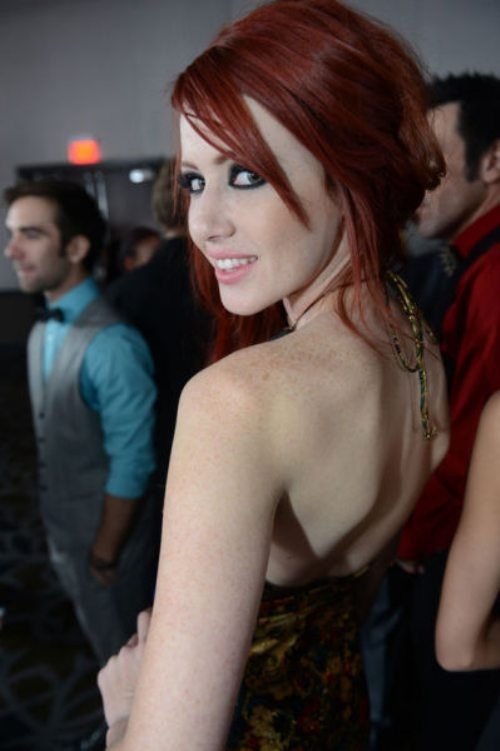 The 2013 AVN Awards