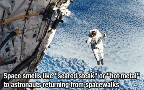 The Coolest Facts You Will Ever Discover