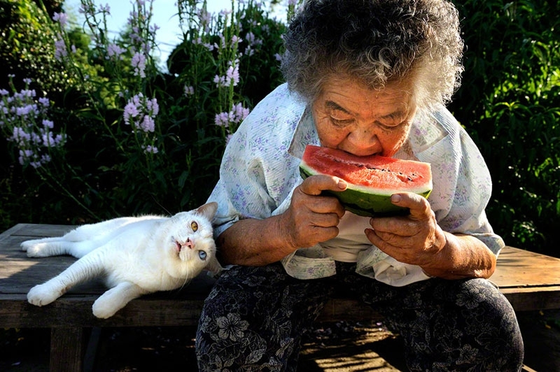 The Daily Life of a Grandmother and Her Cat 